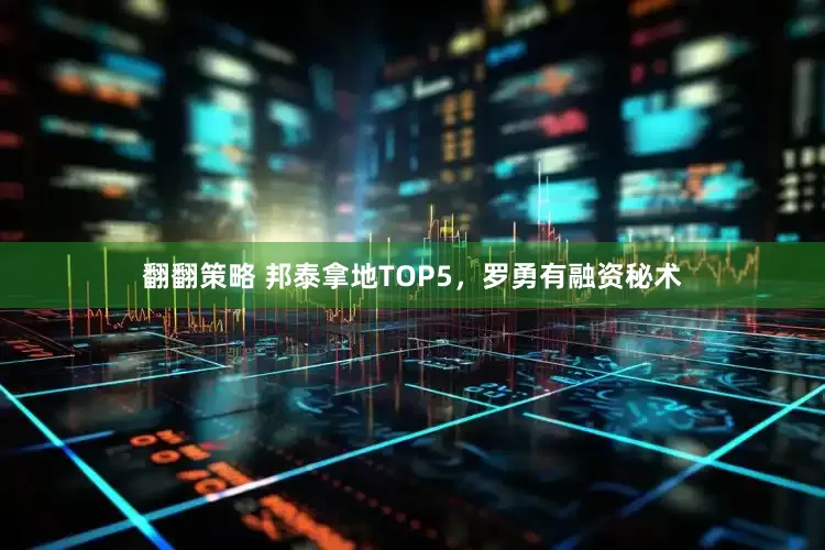 翻翻策略 邦泰拿地TOP5，罗勇有融资秘术